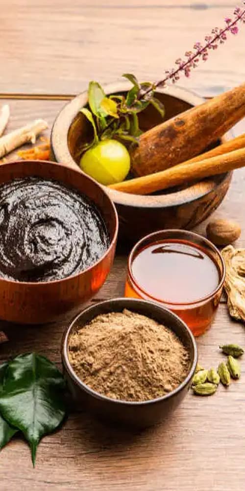 Ayurvedic Ingredients